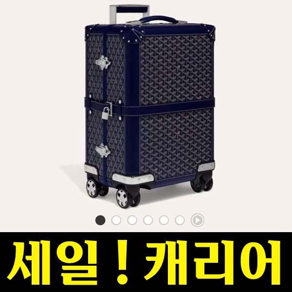 고야드 트렁크 캐리어백 여행가방 5종